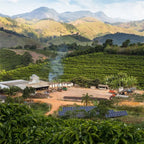 Espresso Canilon (100% Robusta) No 19